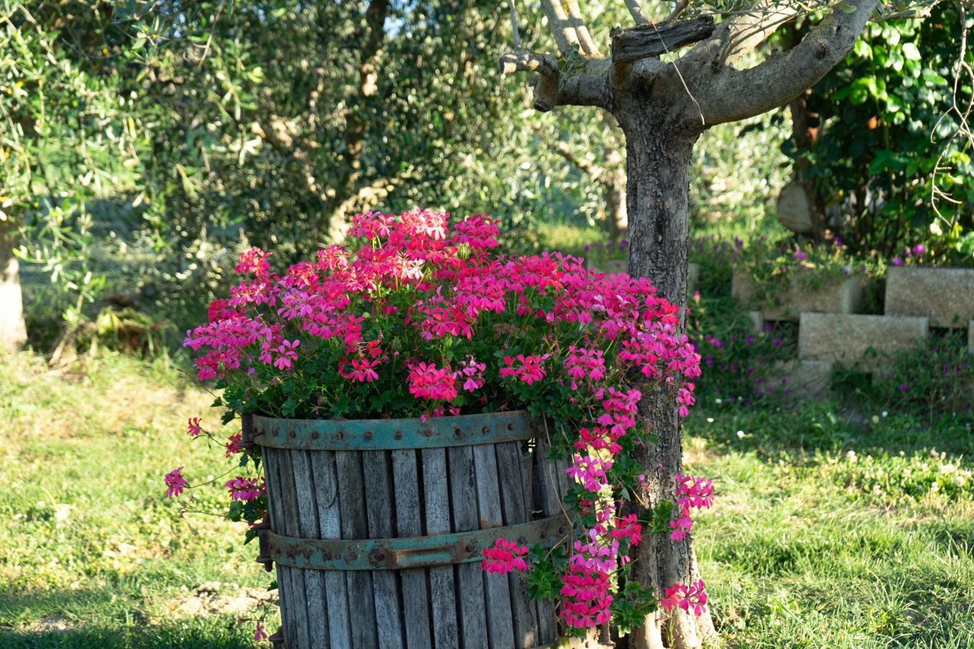 Relaxing Farmhouse San Marino Esterno foto