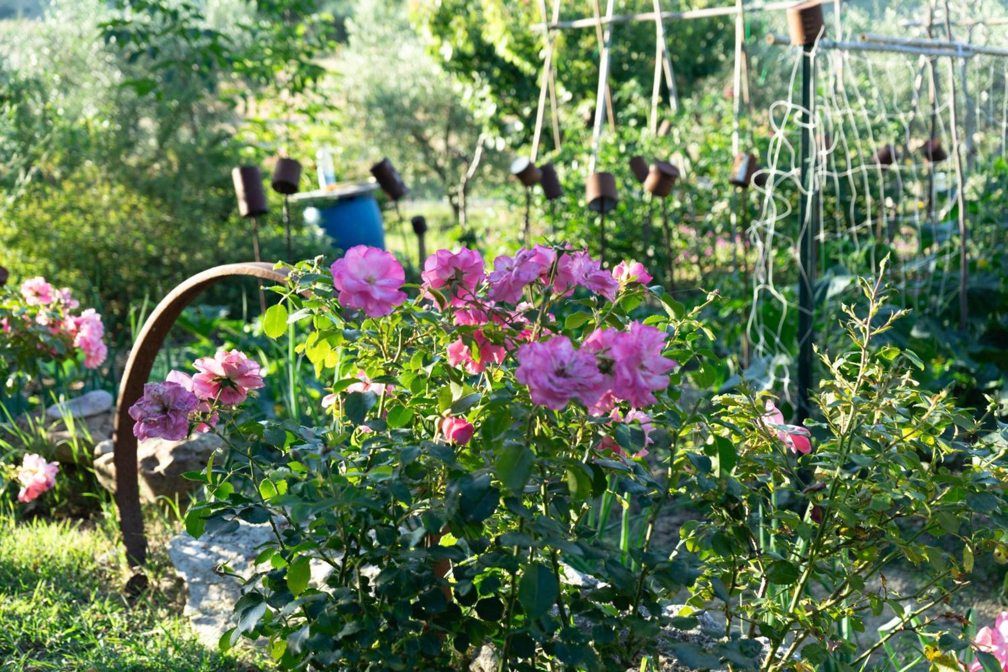 Relaxing Farmhouse San Marino Esterno foto