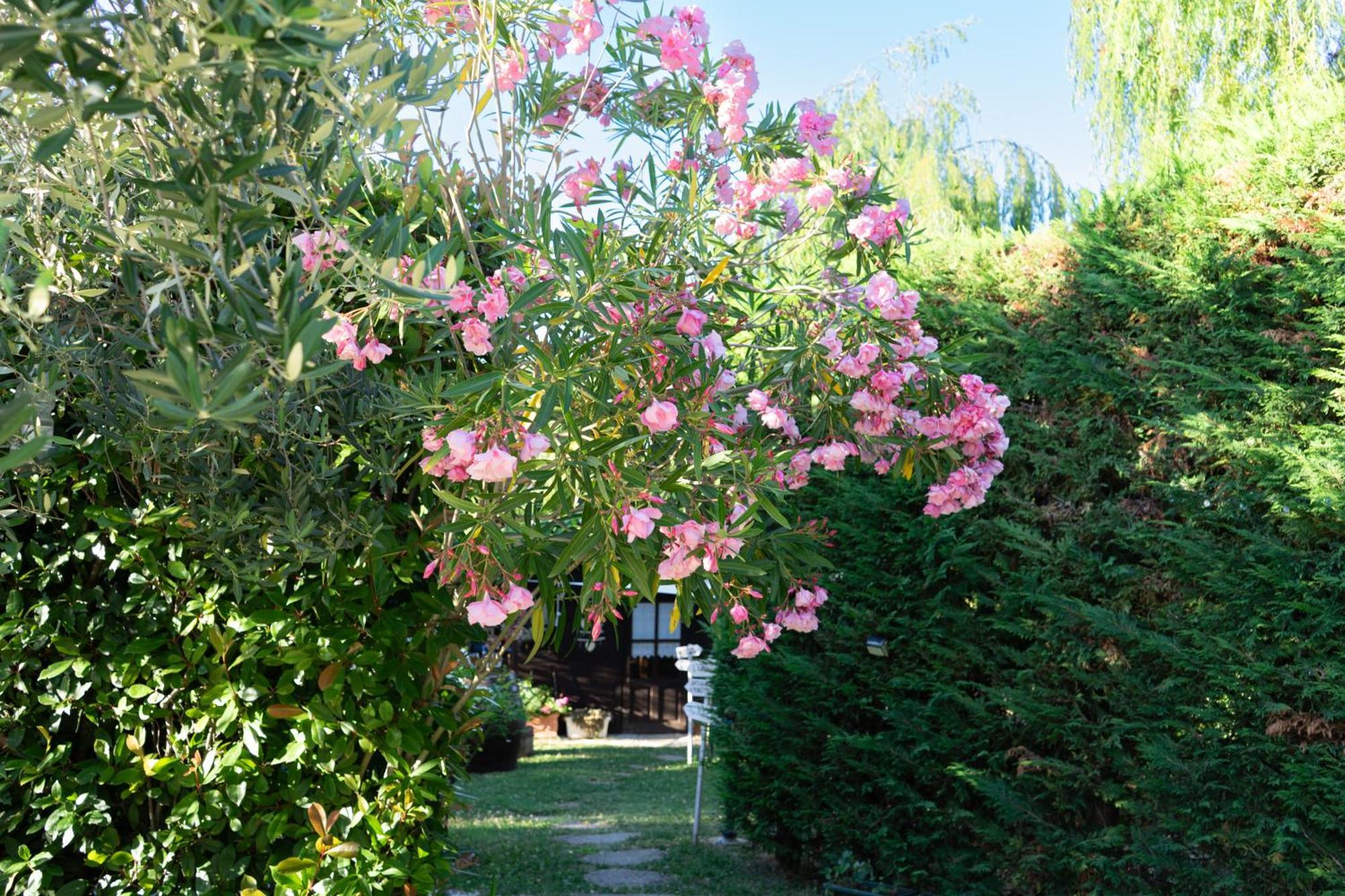 Relaxing Farmhouse San Marino Esterno foto