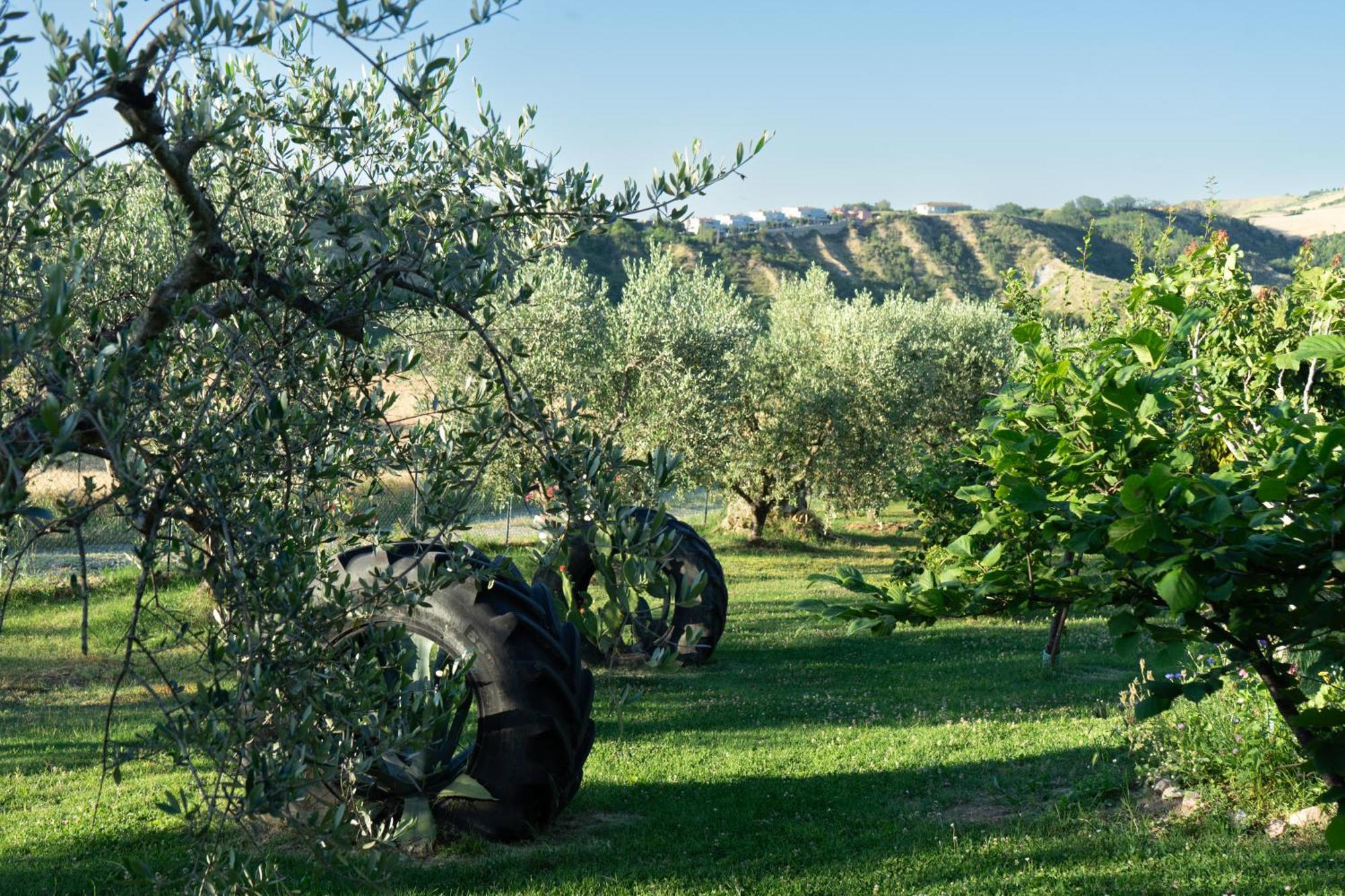 Relaxing Farmhouse San Marino Esterno foto