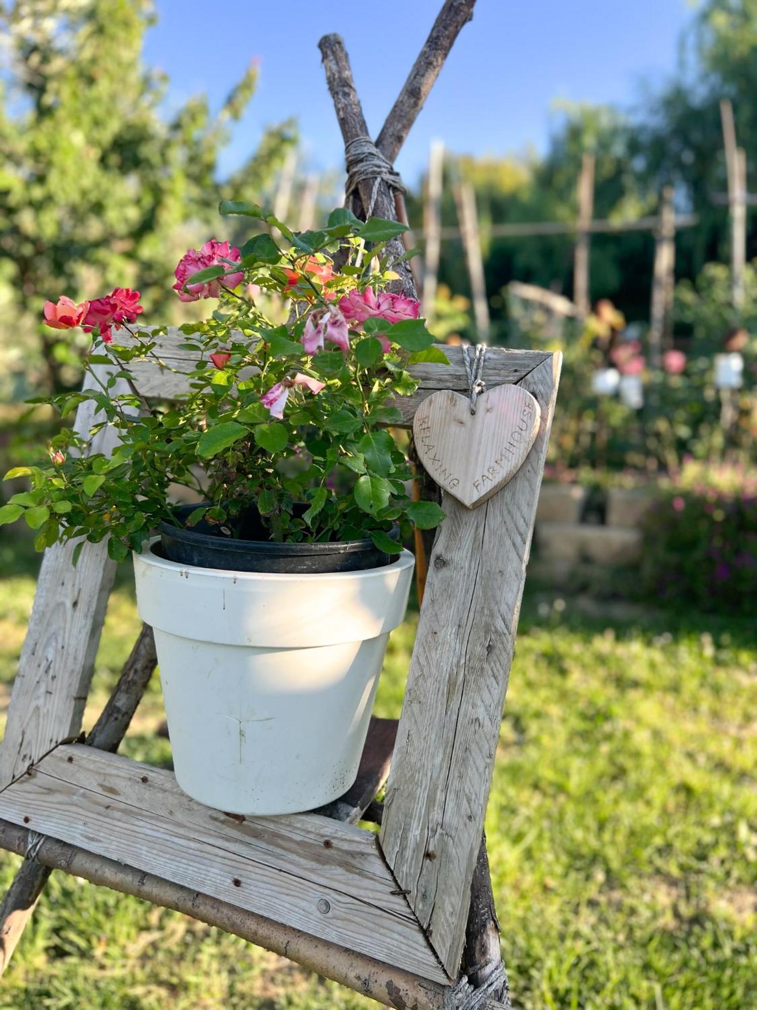 Relaxing Farmhouse San Marino Esterno foto