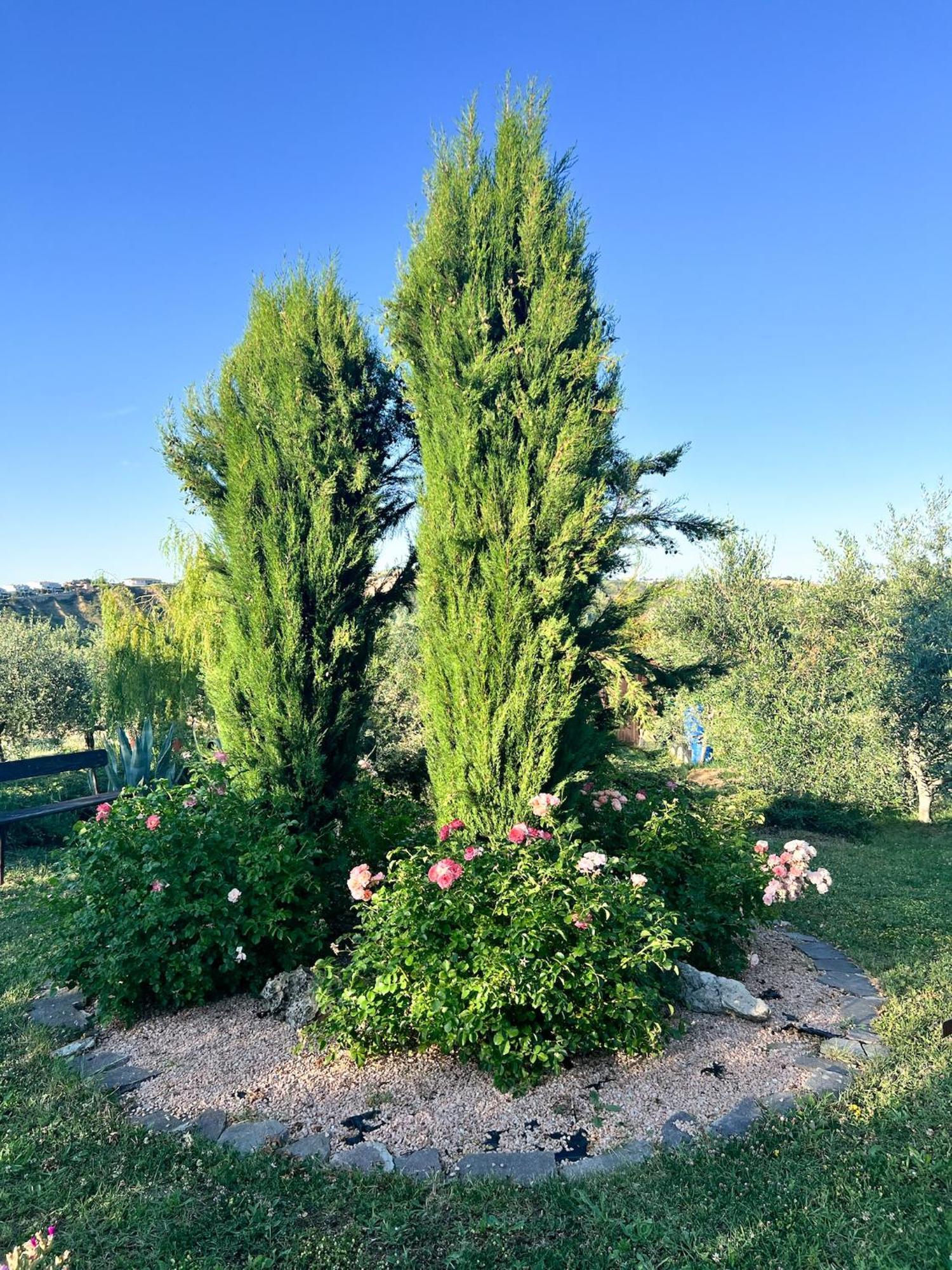 Relaxing Farmhouse San Marino Esterno foto